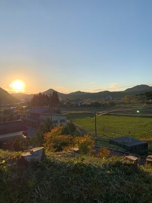 綺麗だった〜
日が沈みかけやのに急いで向かった賀茂神社も⛩️