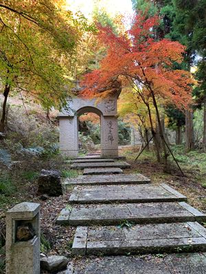 綺麗だった〜
日が沈みかけやのに急いで向かった賀茂神社も⛩️