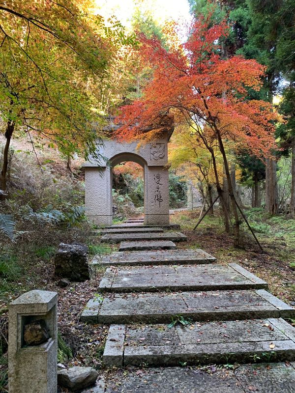 日本・京都府「京都⛩️九頭神社から気ままに」の写真：綺麗だった〜
日が沈みかけやのに急いで向...