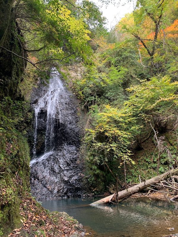 日本・京都府「京都⛩️九頭神社から気ままに」の写真：前情報なしで見つけたからびっくりした滝又...