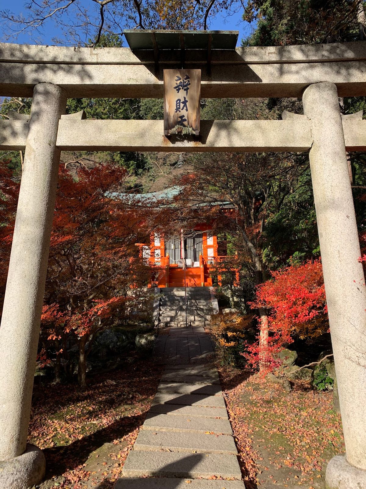 2つ目の写真、いい時期に行けば紅葉が敷き詰められた道になるはずだった……