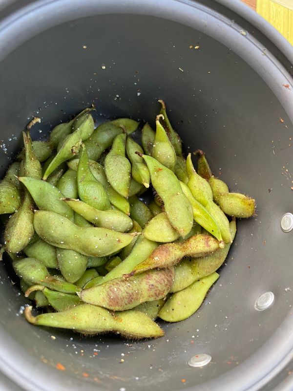 日本・兵庫県「日時計の丘キャンプ場（ツ」の写真