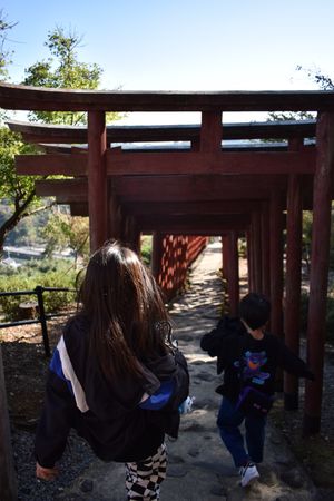 祐徳稲荷神社