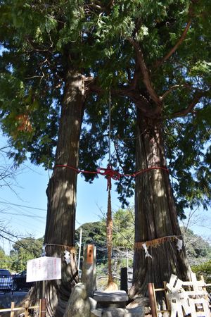 武雄神社