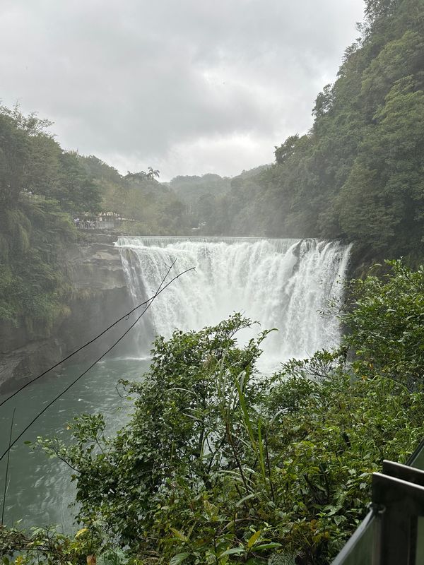 台湾・台北「台湾　2024.11」の写真