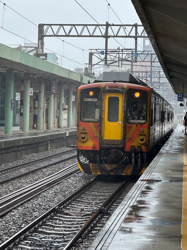 台湾・台北「台湾　2024.11」の写真