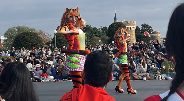 日本・千葉県「念願の誕生日ディズニー旅行」の写真：ハーモニーインカラー