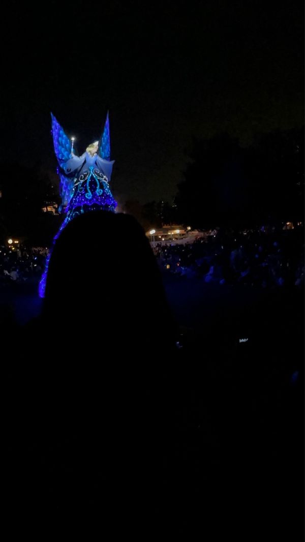 日本・千葉県「念願の誕生日ディズニー旅行」の写真：エレクトリカルパレード