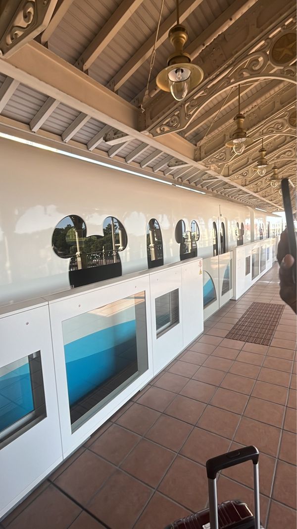 日本・千葉県「念願の誕生日ディズニー旅行」の写真：ディズニーリゾートライン