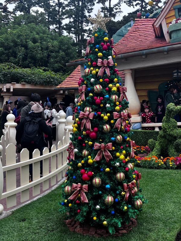 日本・千葉県「念願の誕生日ディズニー旅行」の写真：トゥーンタウンのクリスマス