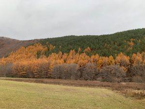 初わんこ蕎麦挑戦！
どこも紅葉が素晴らしく、北山田展望台の絶景も感動⤴︎