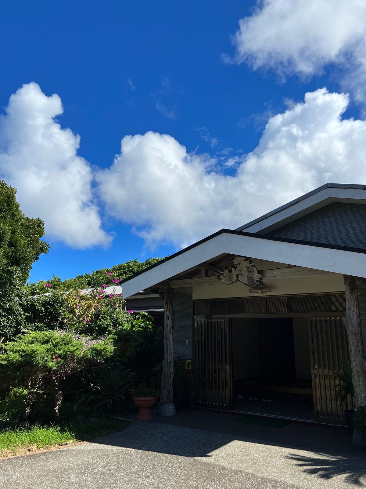 八丈島のダイビングが今までで1番潜水時間長かった🙂‍↕️
潜ってる間は感動...