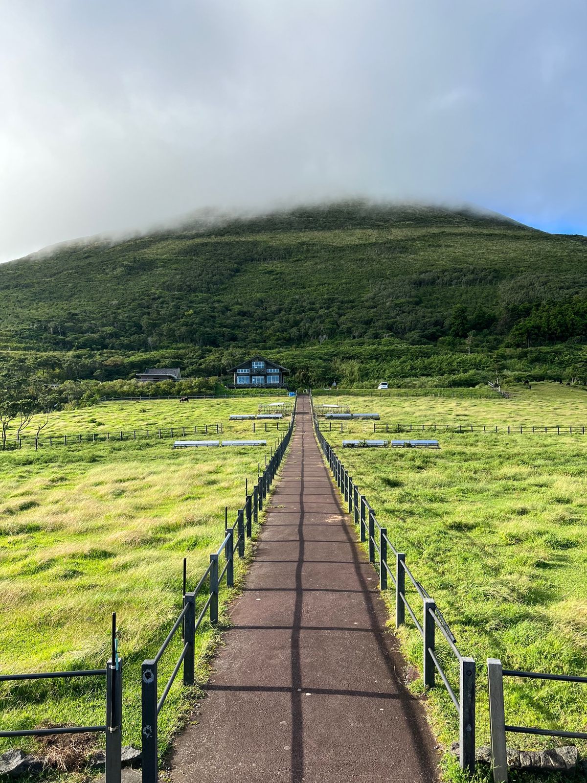 八丈島のダイビングが今までで1番潜水時間長かった🙂‍↕️
潜ってる間は感動...