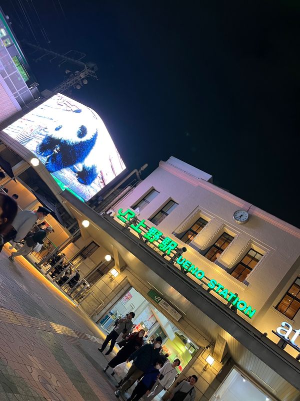 日本・東京都「関東」の写真：新宿遊び