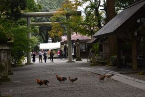 天安河原
天岩戸神社