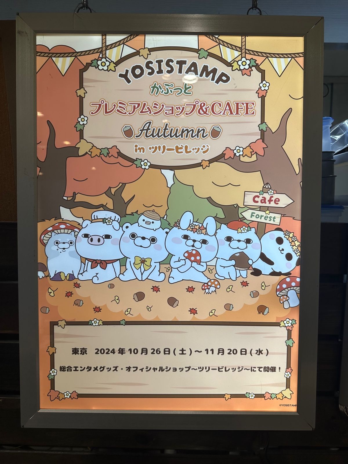 夫婦それぞれ好きなキャラ