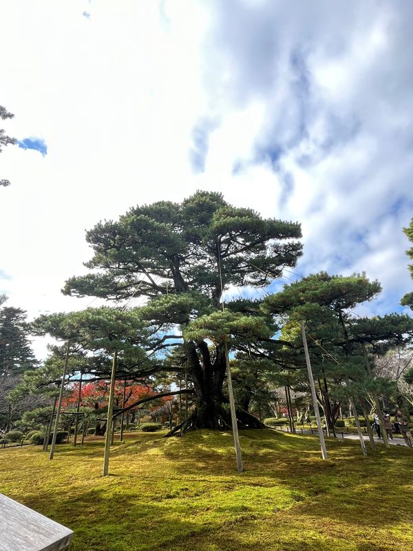 日本・石川県「金沢」の写真