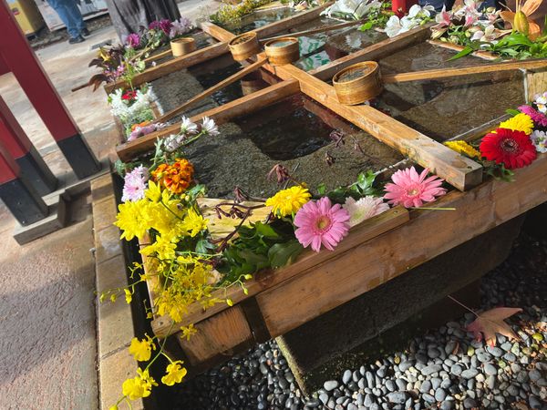 日本・石川県「金沢」の写真