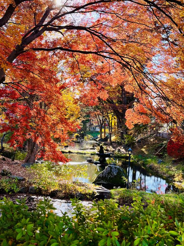 日本・岩手県「日帰り盛岡」の写真
