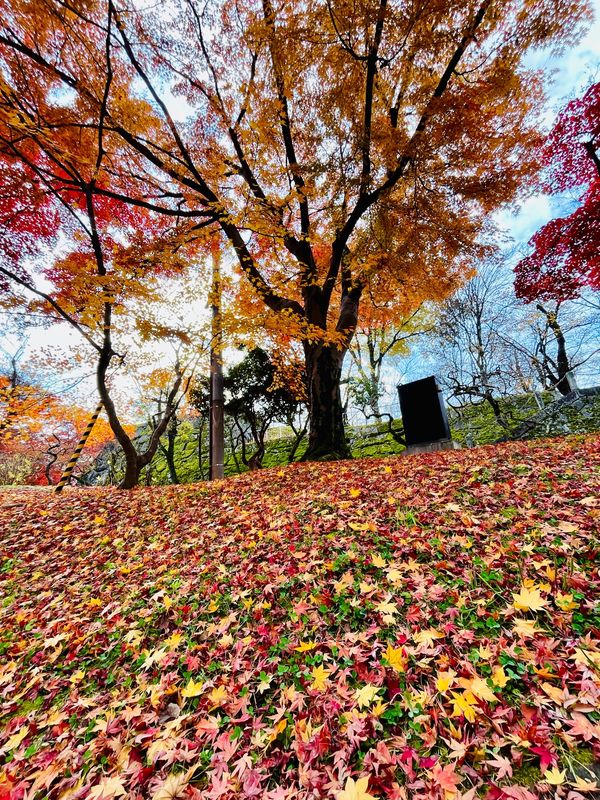 日本・岩手県「日帰り盛岡」の写真