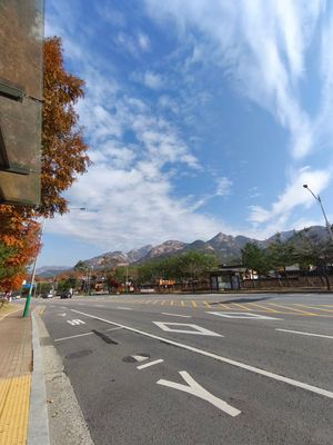 初めて秋に来た韓国。紅葉が綺麗だった🍁
日本は桜並木だけど、韓国はイチョウ...