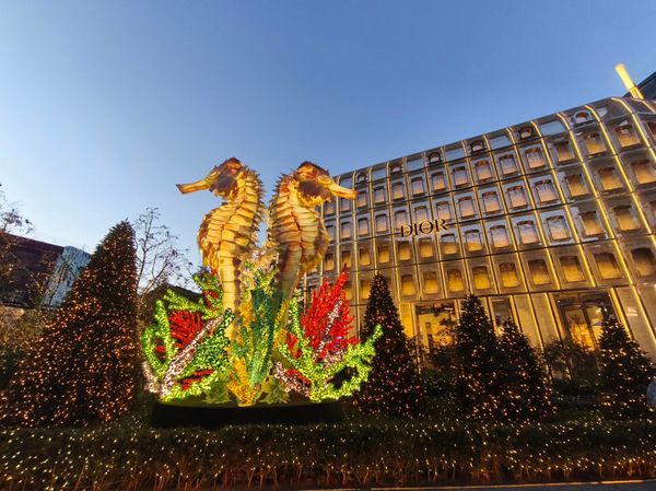 大韓民国 (韓国)・ソウル「ソウル 留学中の友達に会いに」の写真：女子旅に行くと、こういった世界中の女子が...