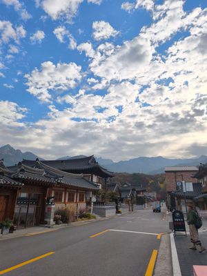 初めて秋に来た韓国。紅葉が綺麗だった🍁
日本は桜並木だけど、韓国はイチョウ...