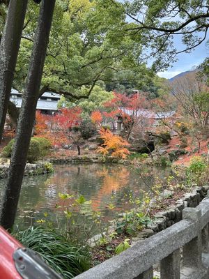 太宰府天満宮🍁