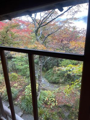 白雲洞茶苑。
抹茶と饅頭でお茶体験が出来る。

その後、岩風呂、別の茶室も...