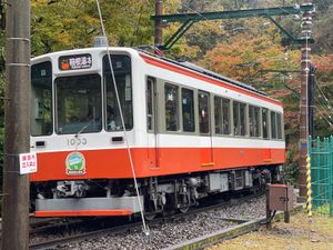 人はなぜ山奥で餃子を食べるのか。
大変人気の餃子センター。
七組待ちとかだ...