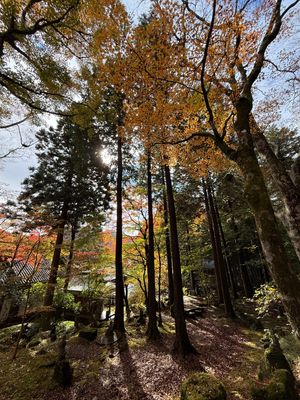 長安寺

紅葉と200体を超える信徒の像が綺麗。