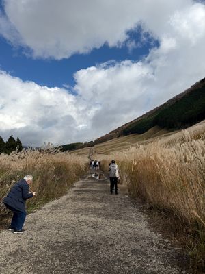 仙石原すすき草原

ほんとすすきの中の道を通るのみ！

しばらく曇り空だっ...