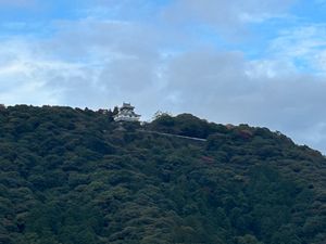 飛行機の時間まで余裕があるので、錦帯橋へ行ってきました。
岩国城が見えるん...