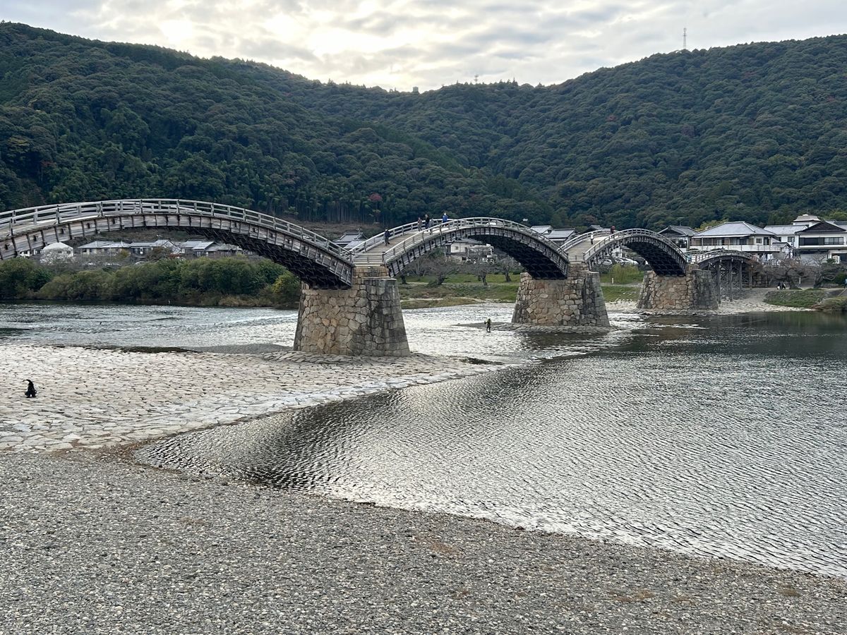 飛行機の時間まで余裕があるので、錦帯橋へ行ってきました。
岩国城が見えるん...