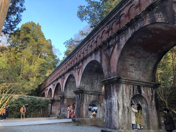 日本・京都府「京都: あぼたん」の写真