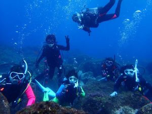 亀も見たしハンマーも見たんだよ！！海ってステキ