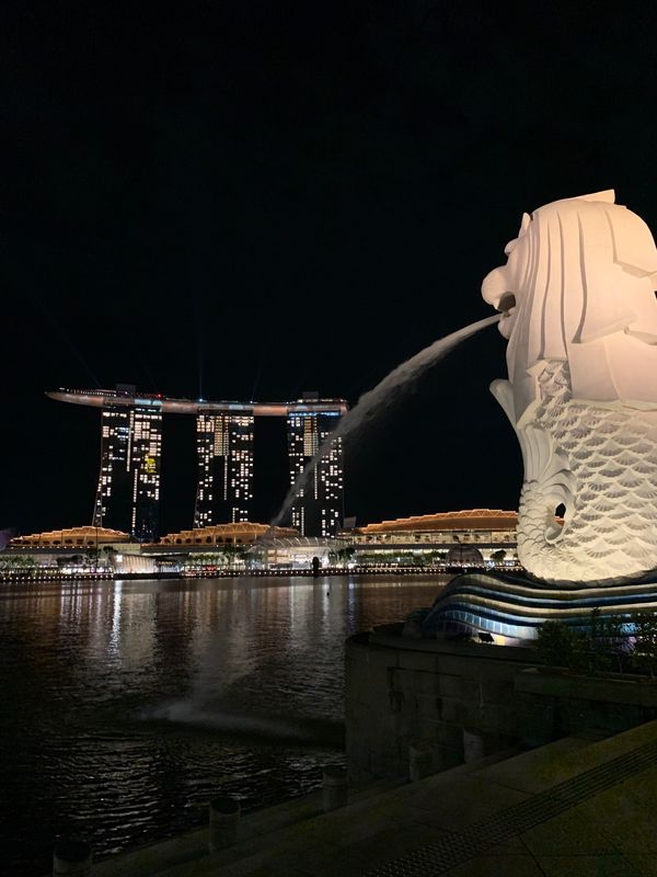 シンガポール「チリクラブ」の写真