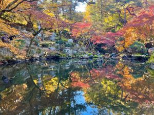 高崎駅からタクシーで15分ほど、洞窟観音と徳名園に行ってきました。徳名園の...