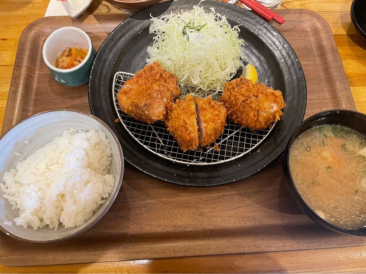 この日のお昼は高崎駅まで戻ってポンチ軒でヒレカツ定食。神田に本店がある人気...