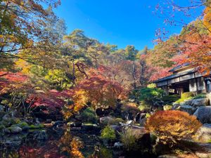 高崎駅からタクシーで15分ほど、洞窟観音と徳名園に行ってきました。徳名園の...