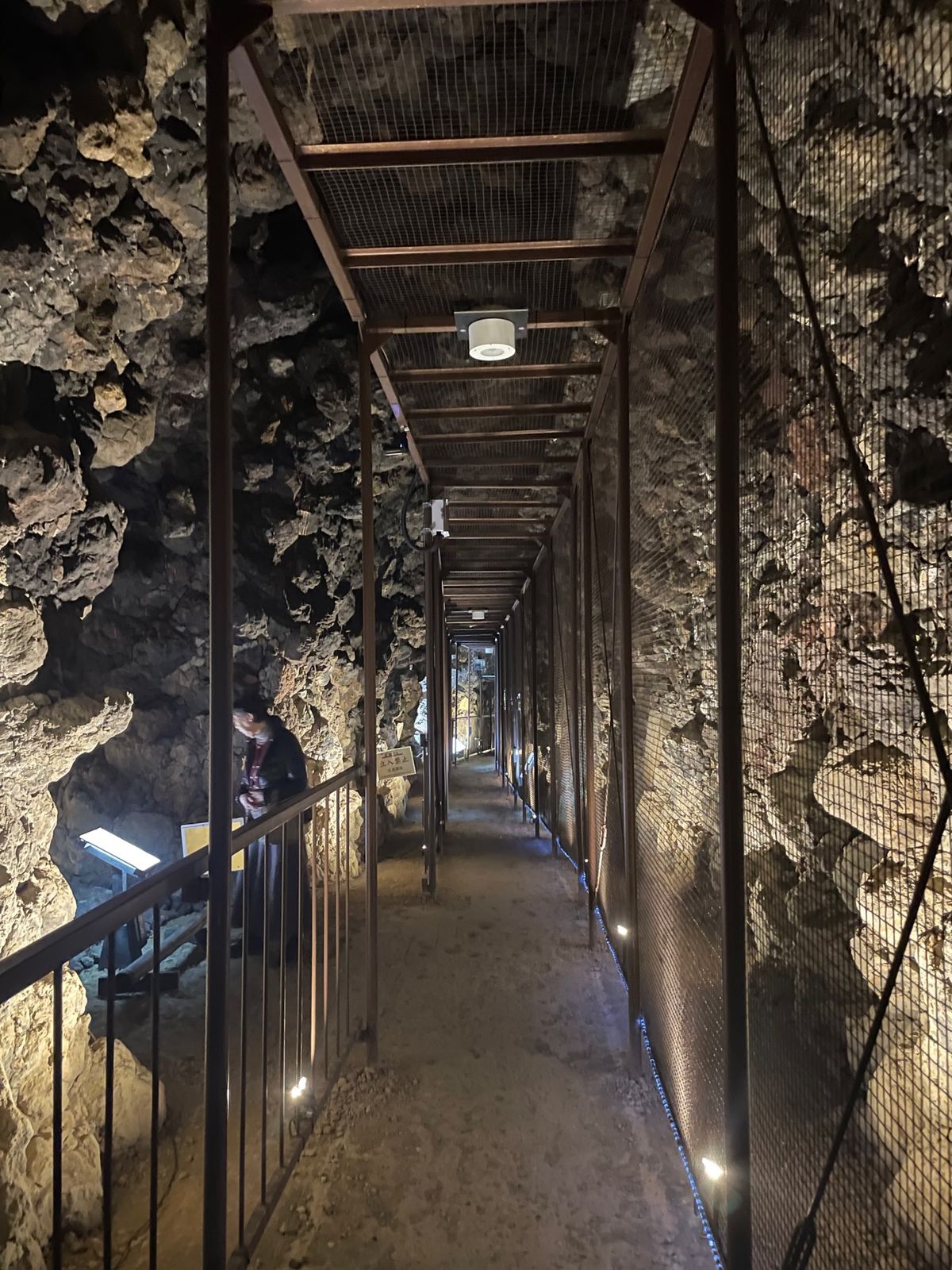 徳名園の隣にある洞窟観音。名前の通りに長い洞窟の中にたくさんの観音様。