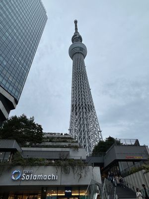 東京