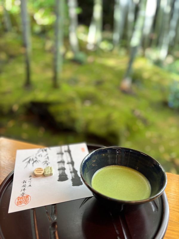 日本・神奈川県「鎌倉へ」の写真