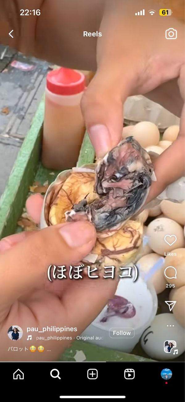 「フィリピン」の写真