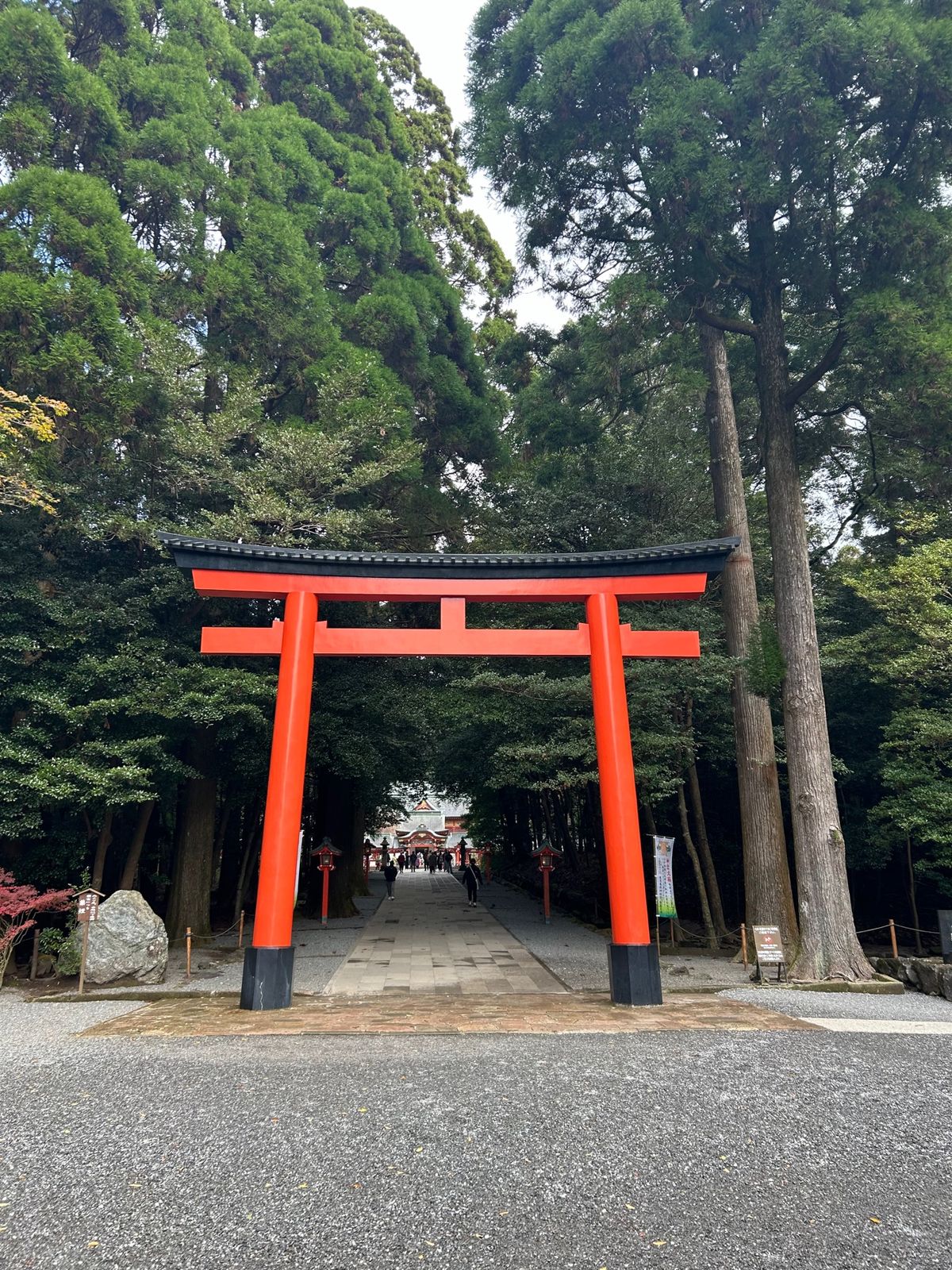 霧島神宮⛩
沢山お祈りと御籤の通りにします。頼む願いかなって