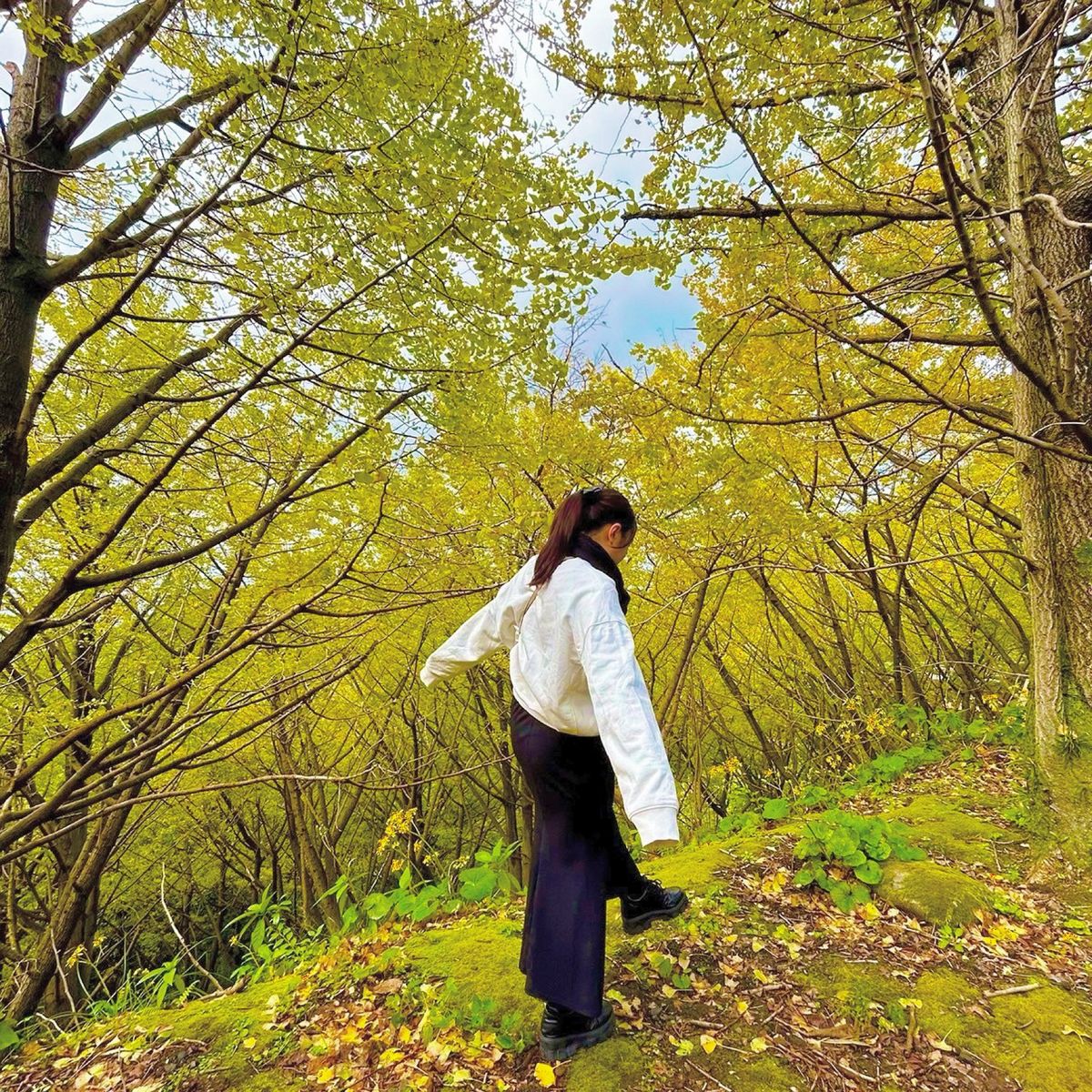 垂水千本イチョウ
だいぶ落ちてたけど、なんとか加工で黄色く見せた笑