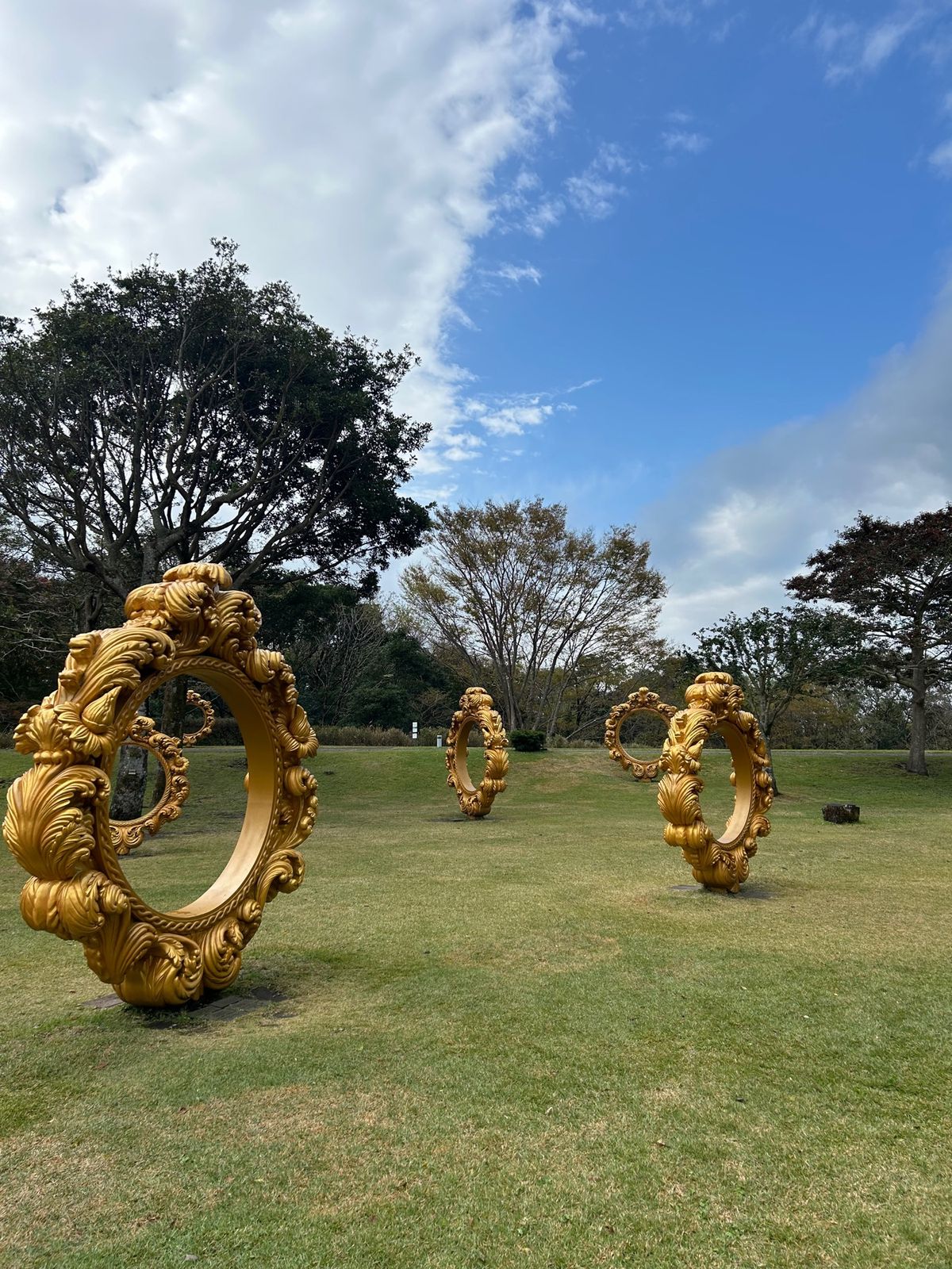 霧島アートの森🎨
アートってすごいね。フシギダネ。