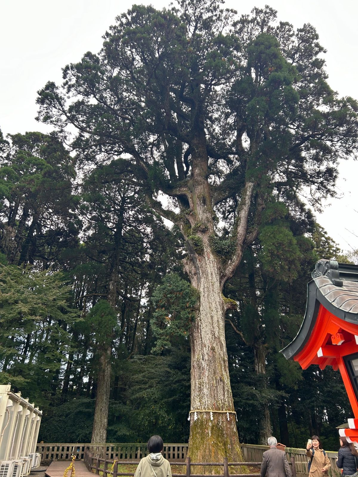 霧島神宮⛩
沢山お祈りと御籤の通りにします。頼む願いかなって