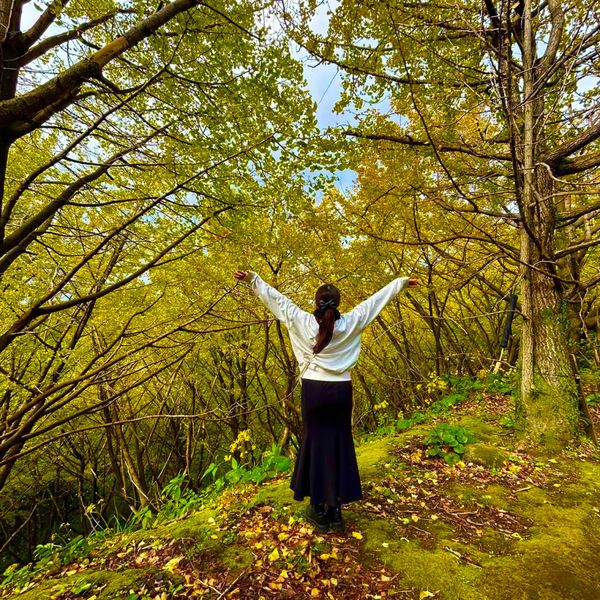 日本・鹿児島県「大爆笑の旅」の写真：垂水千本イチョウ
だいぶ落ちてたけど、な...
