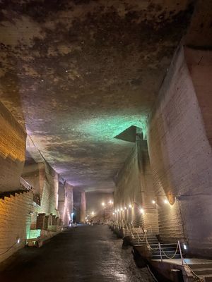 栃木県のあの有名な大谷石地下採掘場に行きました😊
幻想的な地下の大空間に感...